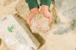 Close up of soft dust free mechanically processed hemp bedding fibers in hands