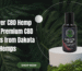 CBD Hemp Oil