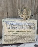 Cute domestic kitten sitting on top of safe non toxic hemp animal bedding package