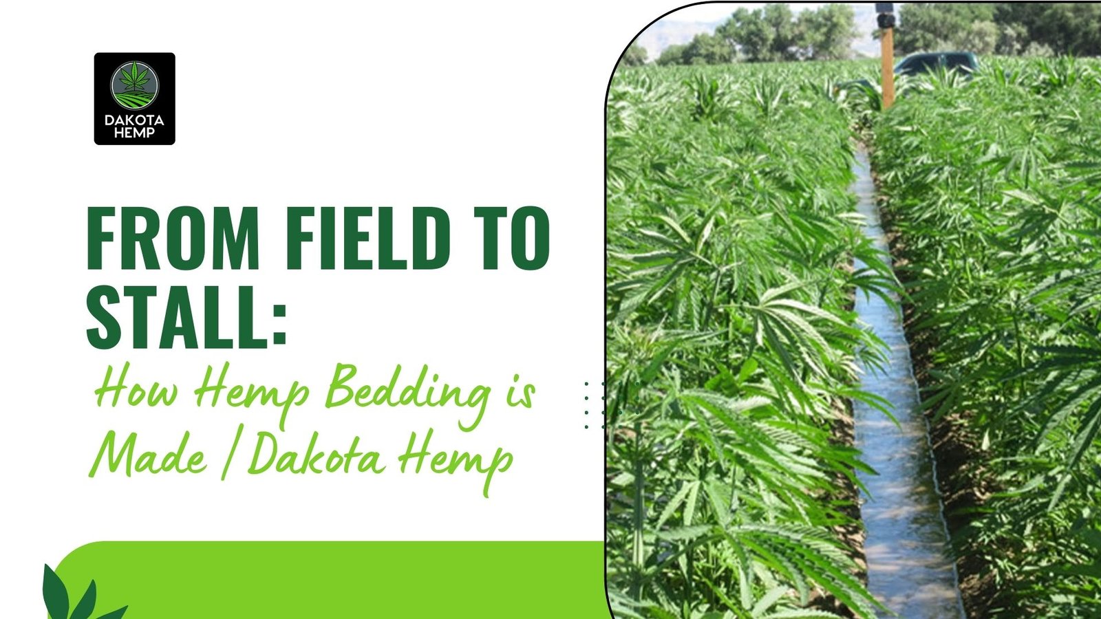 How Hemp Bedding is Made Dakota Hemp