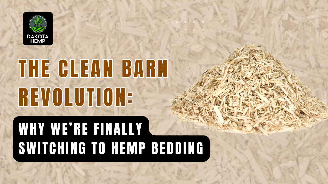 Why We’re Finally Switching to Hemp Bedding