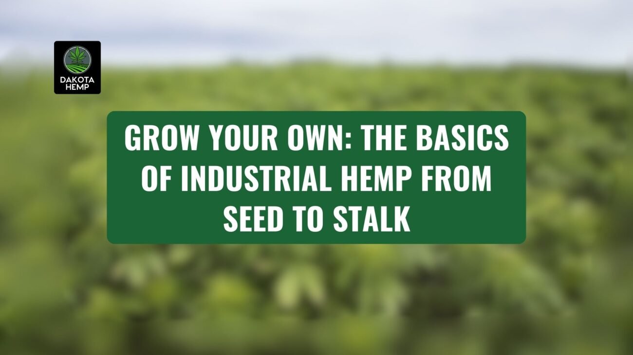 Grow Your Own The Basics of Industrial Hemp from Seed to Stalk